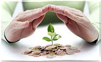 Person protects plant sprouts that grow out of coins as a symbol of one's financial situation