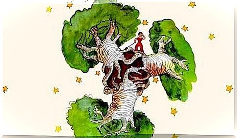 A Baobab Tree in the Heart - Reflections on the Little Prince