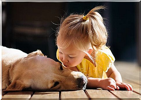 A friendly child kisses a dog