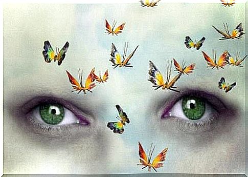 Butterflies fly past green eyes