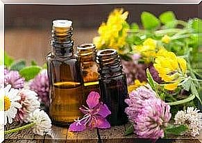 Aromatherapy: The wonderful power of scents