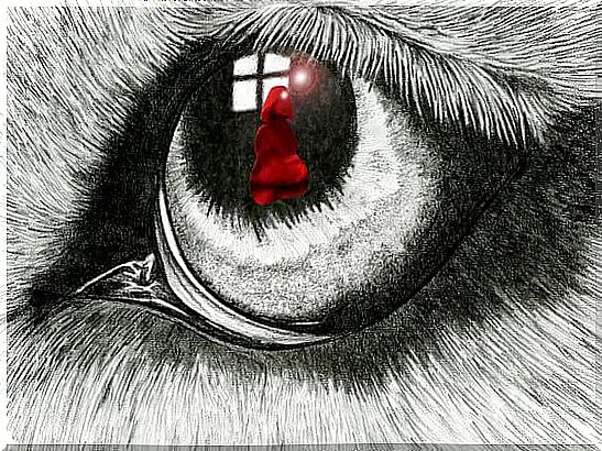 Little Little Red Riding Hood in the wolf's eye