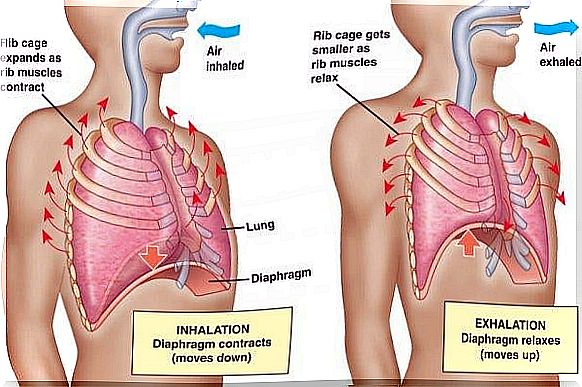 illustration of breathing