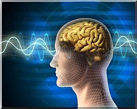 Neuropsychology is illustrated by brain with waves through