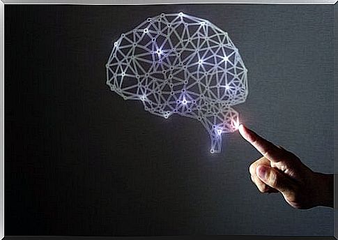 Artistic diagram of the brain - the science behind happiness