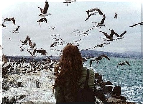 Woman watching birds over sea