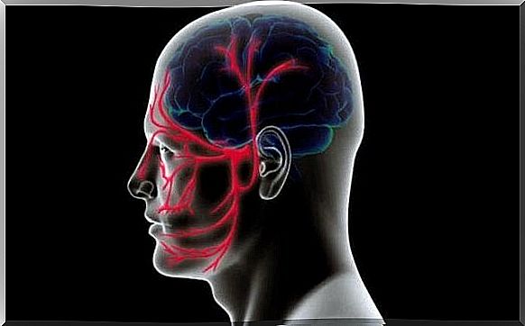 blood vessels in the brain and face.  Trigeminal neuralgia