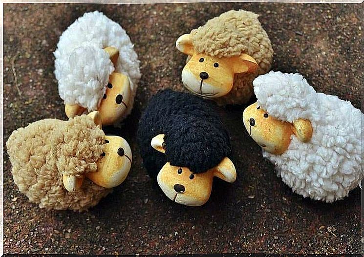 the black sheep among white and brown